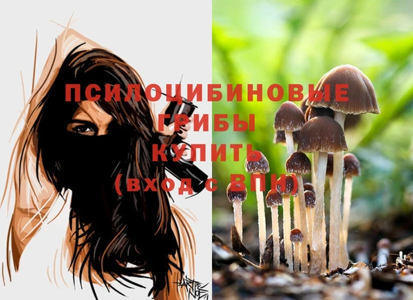 ГАЛЛЮЦИНОГЕННЫЕ ГРИБЫ Магадан