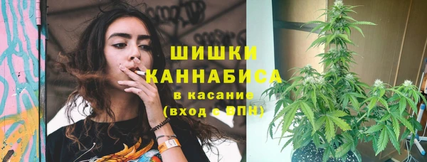 прущий лед Магас