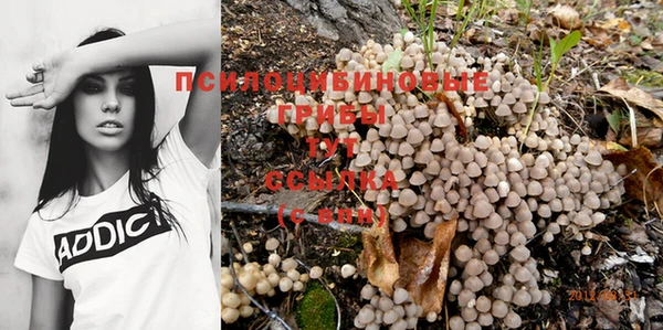 прущий лед Магас