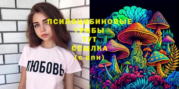 ГАЛЛЮЦИНОГЕННЫЕ ГРИБЫ Магадан