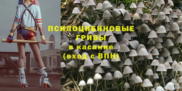 ГАЛЛЮЦИНОГЕННЫЕ ГРИБЫ Магадан