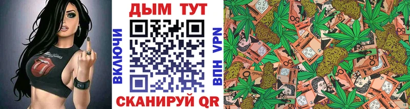 как найти закладки  Приозерск  Шишки марихуана гибрид 